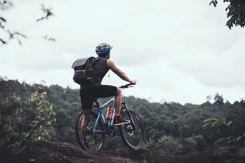 Best MTB Reviews