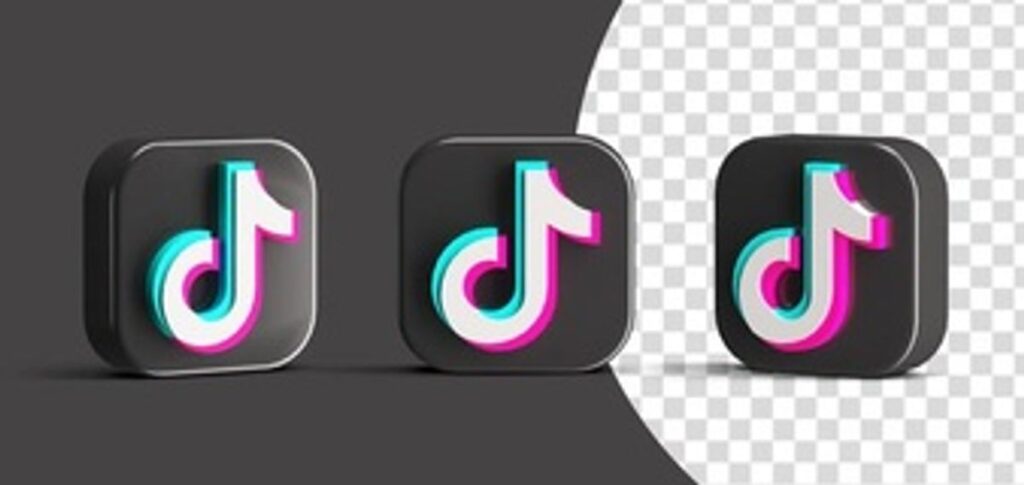 TikTok Downloader