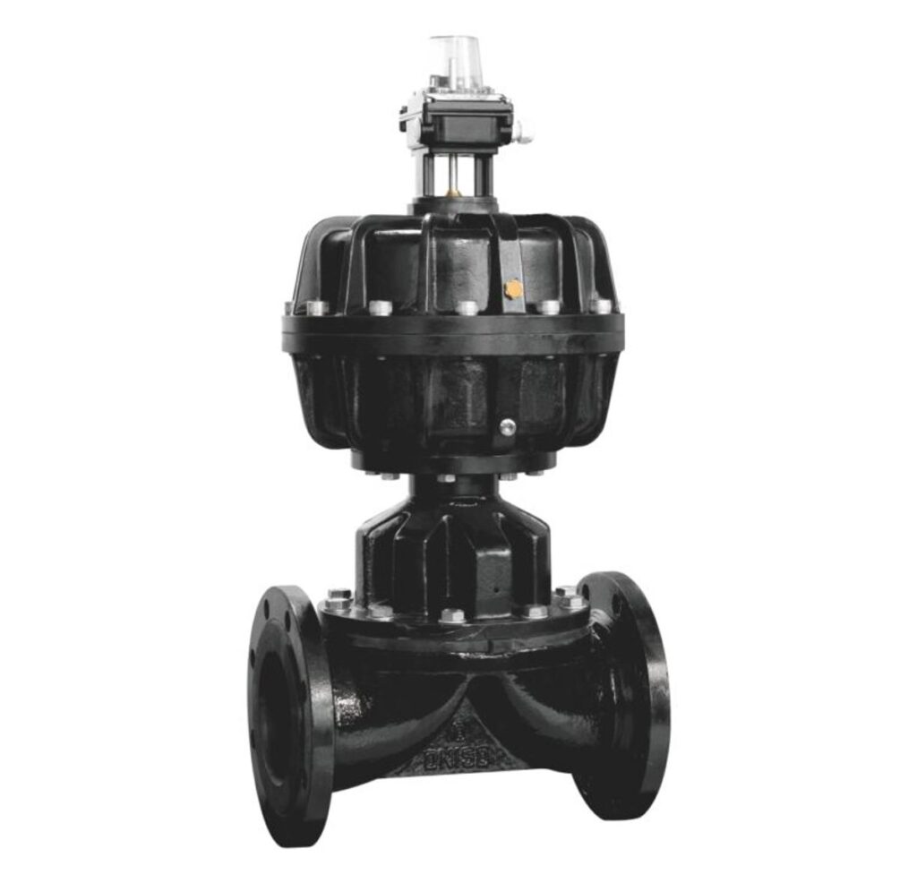 rubber diaphragm valve