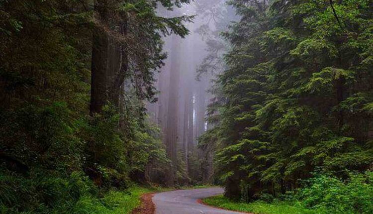 Tourist places in California