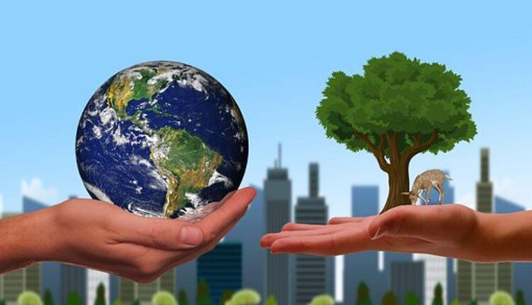 What Is Sustainable Entrepreneurship