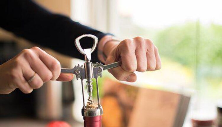 milk frother handheld