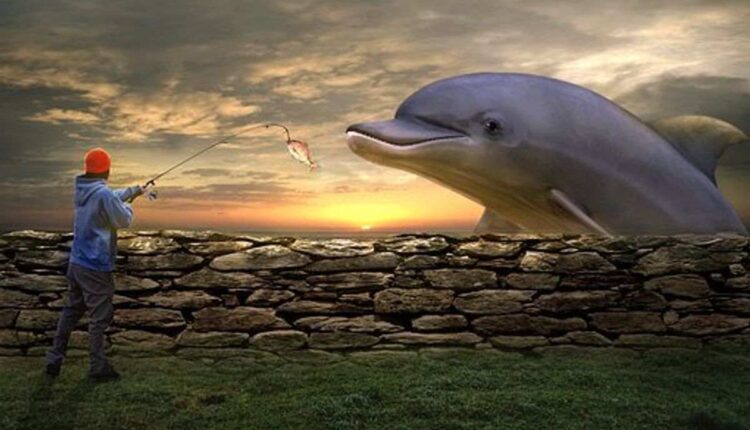 braided fishing line