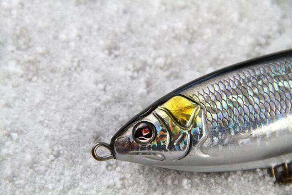 fishing lures