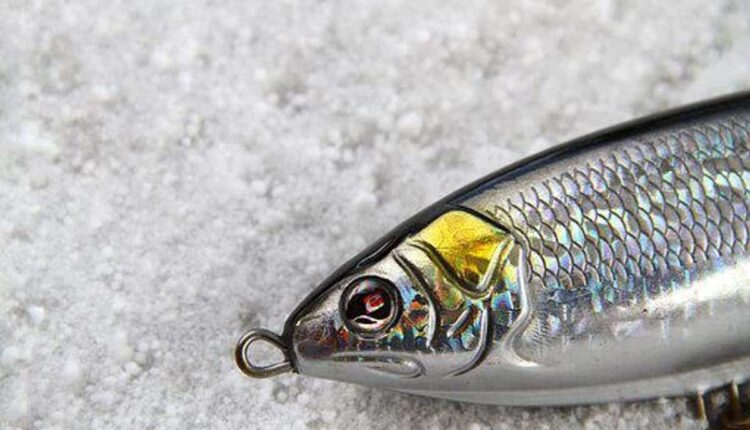 fishing lures
