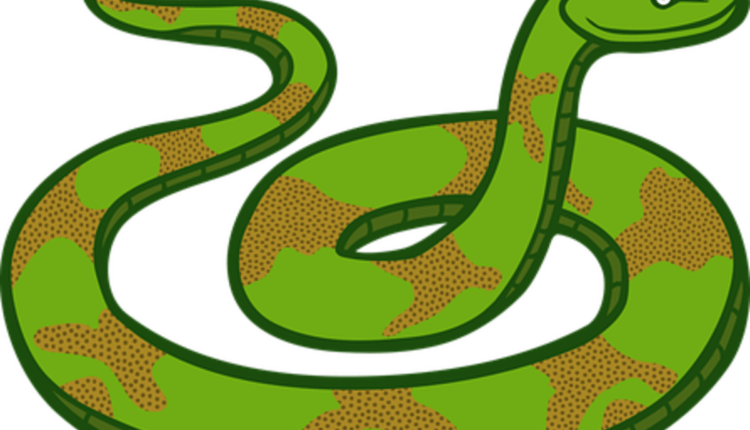 Use Mods for Snake Game