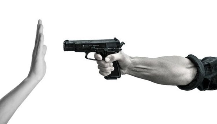 hornady leverevolution 44 mag