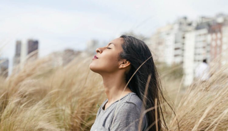 Westfund Health Insurance Review