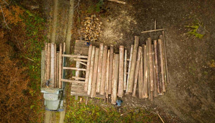 amazon warehouse jobs