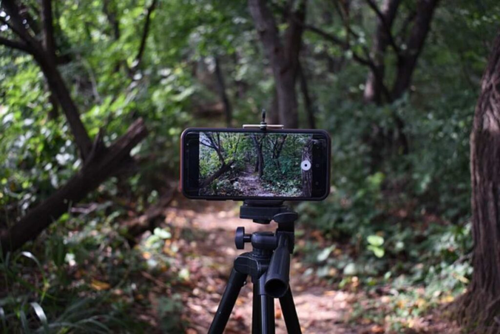 sale on trail cameras