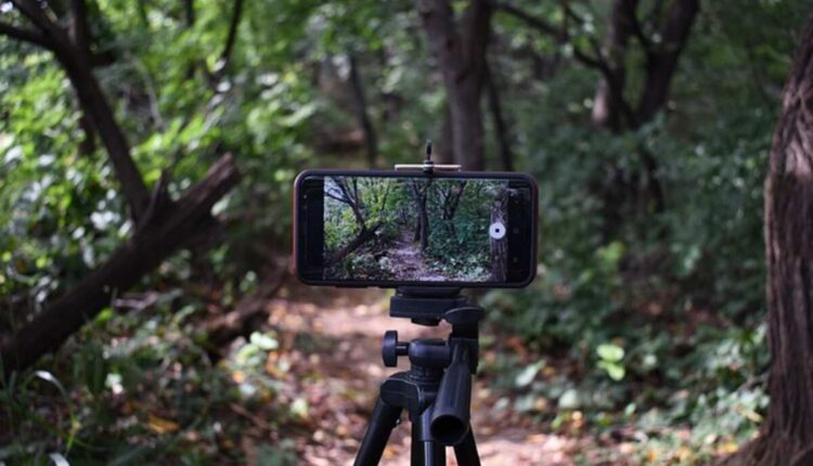 sale on trail cameras