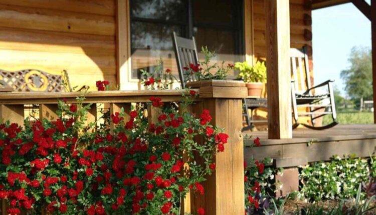 family farm and home brooklyn mi