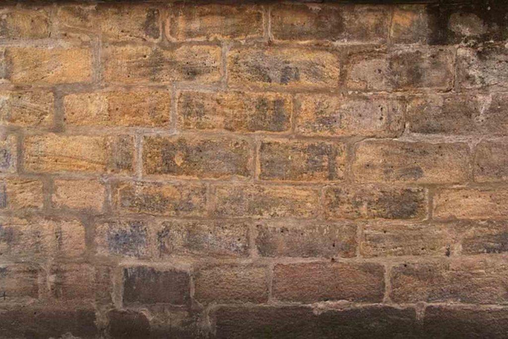 Neighbor’s Retaining Wall