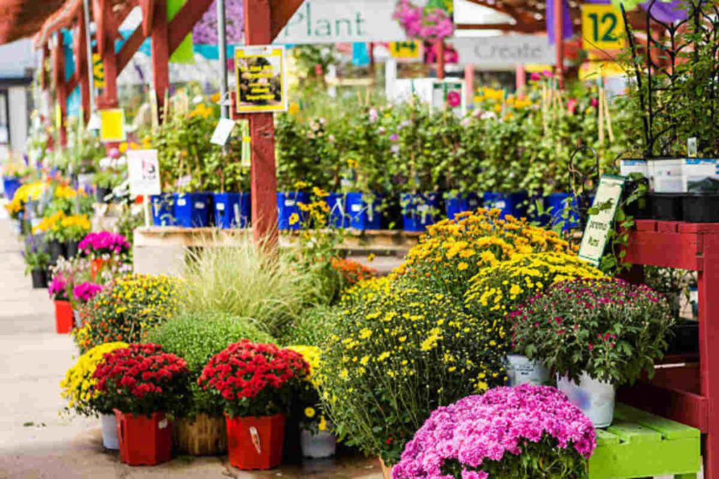 Martin's Garden Center