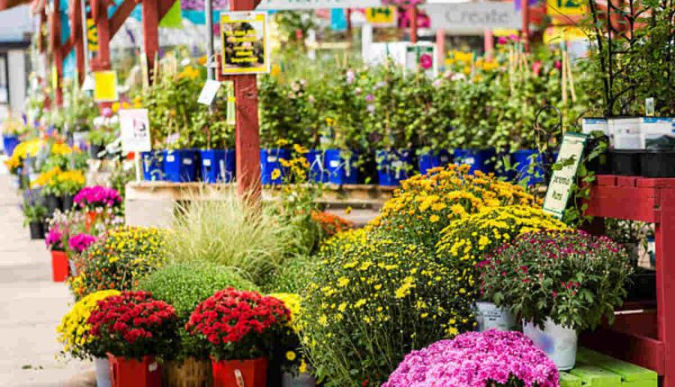 Martin's Garden Center