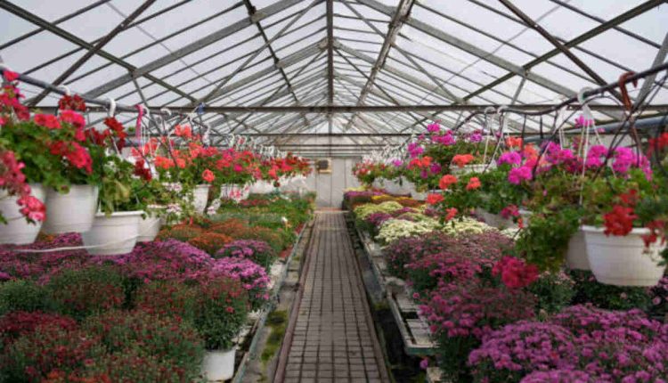 Martin's Garden Center