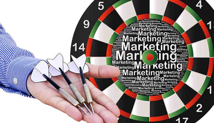 School of Darter Is Back on