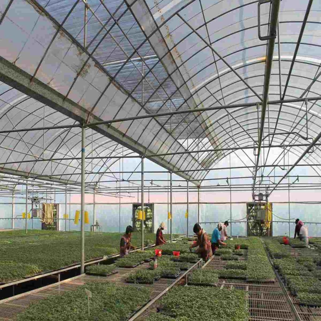 pc greenhouse supplier