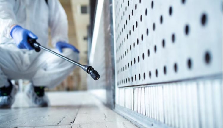 mold testing in Tampa