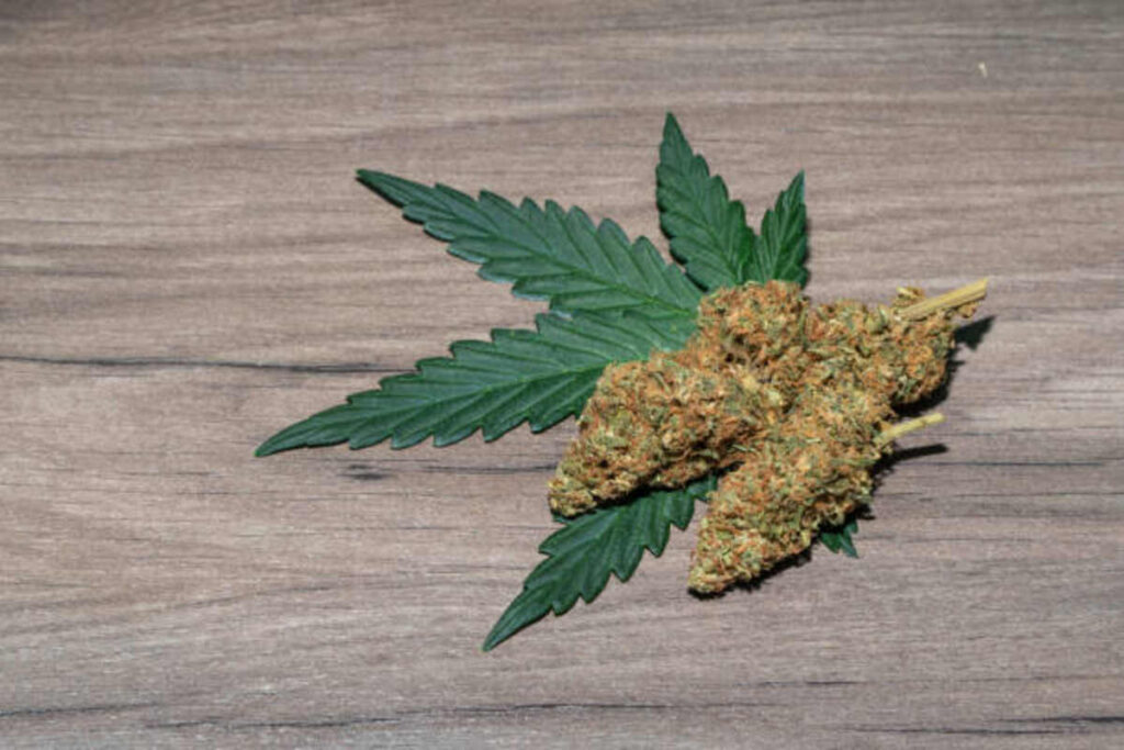 Going through the Benefits of THCV Strains