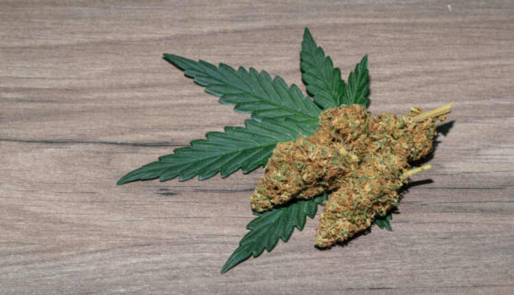 Going through the Benefits of THCV Strains