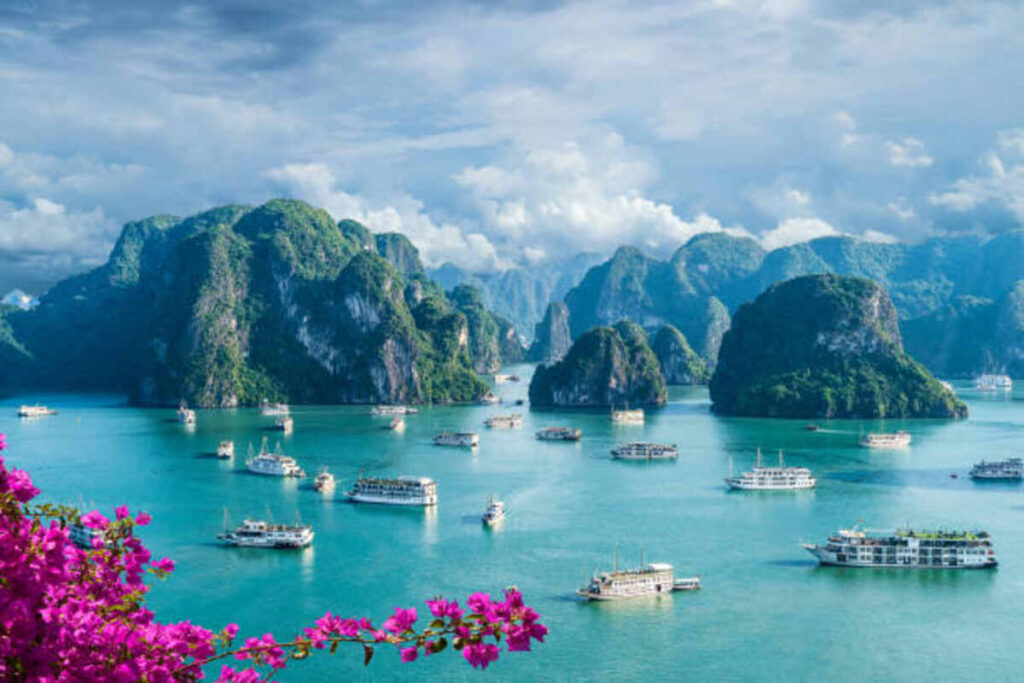 Vietnam tour packages